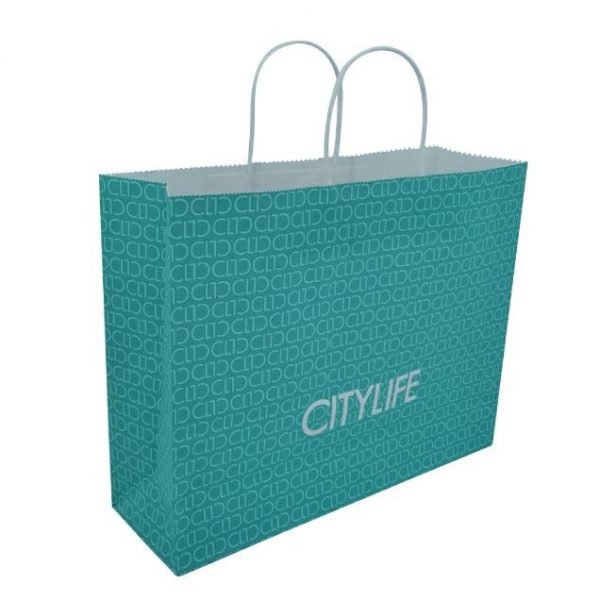 Kraft Paper Gift Bag CASO PACKING 2