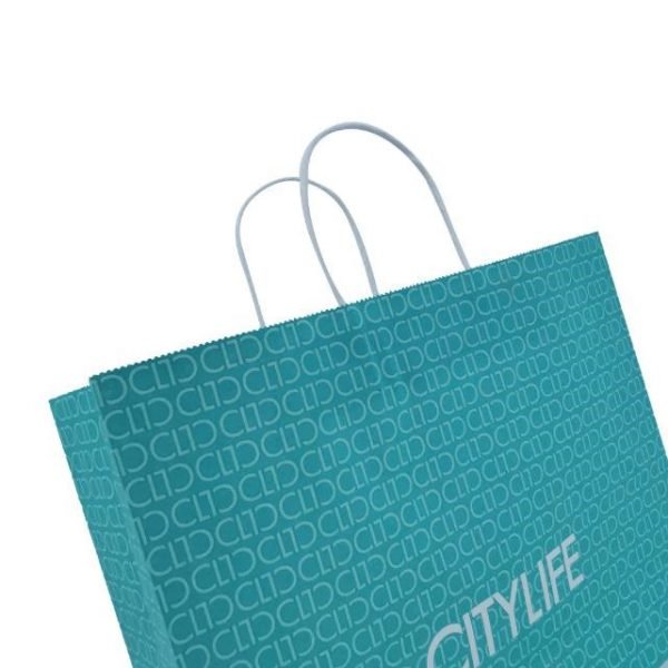 Kraft Paper Gift Bag CASO PACKING 4