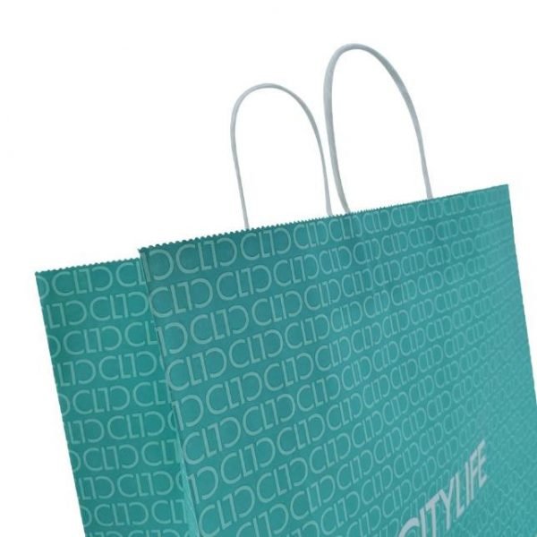 Kraft Paper Gift Bag CASO PACKING 5