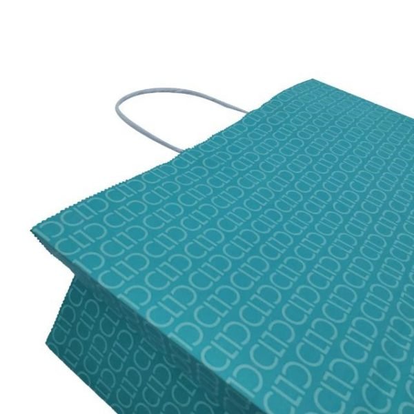 Kraft Paper Gift Bag CASO PACKING 6