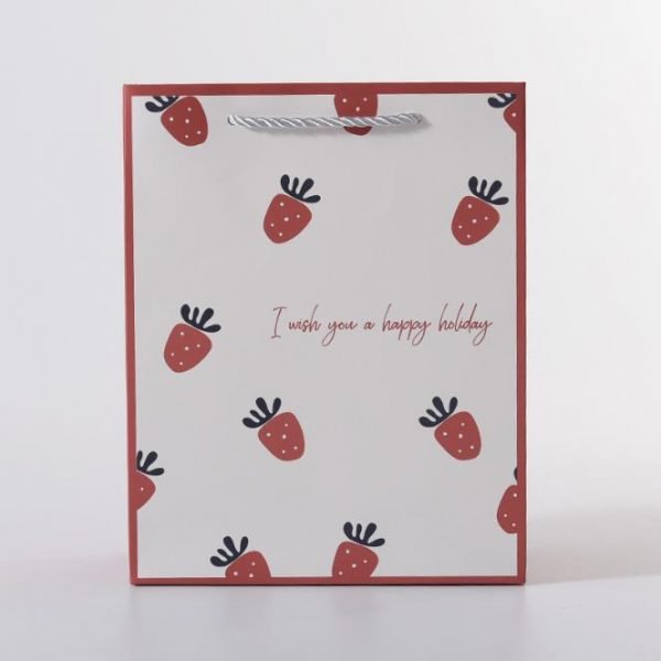 Art Paper Pouches