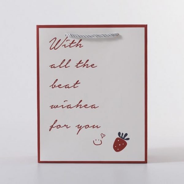 Art Paper Pouches
